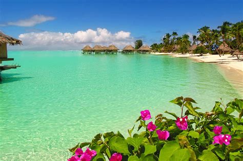 Bora Bora Beach Water Bungalows Hd Desktop Wallpaper