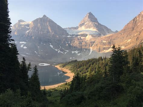 Mt Assiniboine From Near The Lake Magog Backcountry Campground Bc