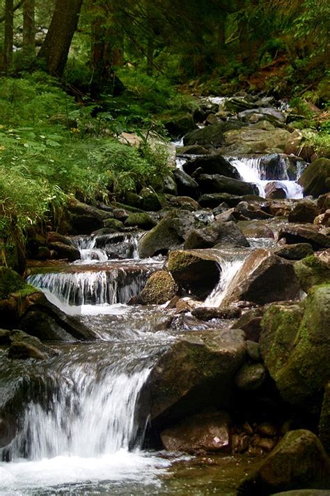 A Small Stream Running Through A Forest Filled With Lots Of Rocks And