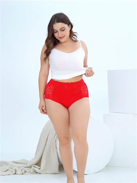 Beizhi Fat Lady Panty Sexy Women Underwear Plus Size Lace Underwear