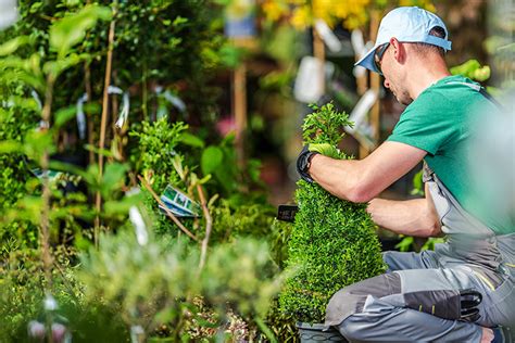 Garden Centres Around Darlington Fasci Garden