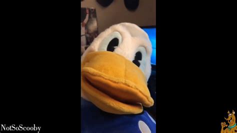 Tiktok Funny Donald Duck Memes Youtube