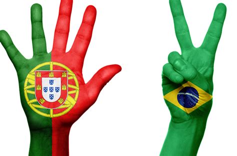 Diferencias Servicios De Traducción De Español A Portugués Y Brasileño