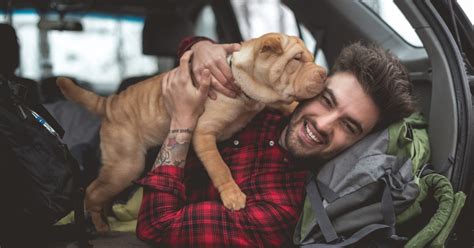 Dog Owners More Sexually Attractive Than People Who Own Cats Metro News