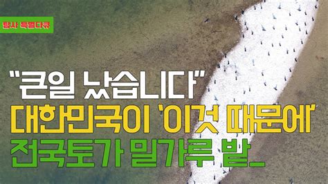 탐사특별환경다큐 “큰일 났습니다” 대한민국이 ‘이것 때문에 전국토가 밀가루 밭 Youtube