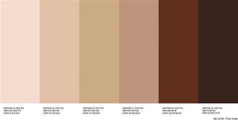 Rgb цвет кожи Pantone PMS Skin Tone ffdfc Схемы Шестнадцатеричных Кодов Цветов Графики