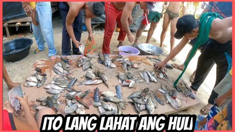 Kammang Ng Hito Dalag Tilapia At Iba Pang Isda Miki Pangmeryenda Ala