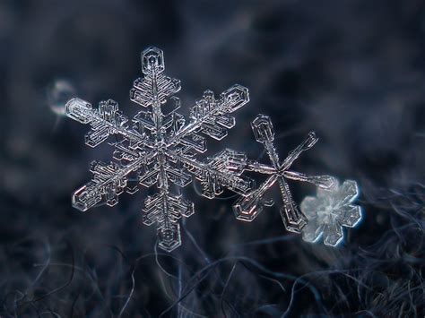 Stunning Macro Details Of Uniquely Beautiful Snowflakes Snowflakes