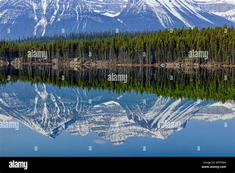 The Bow Range Reflected In Herbert Lake Banff National Park Alberta