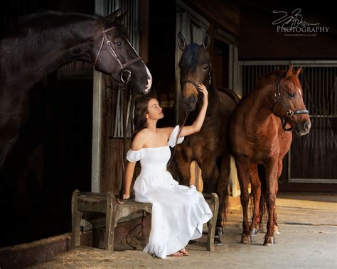 Portraits Melinda Brown Photographyall Creatures Beautiful Horses