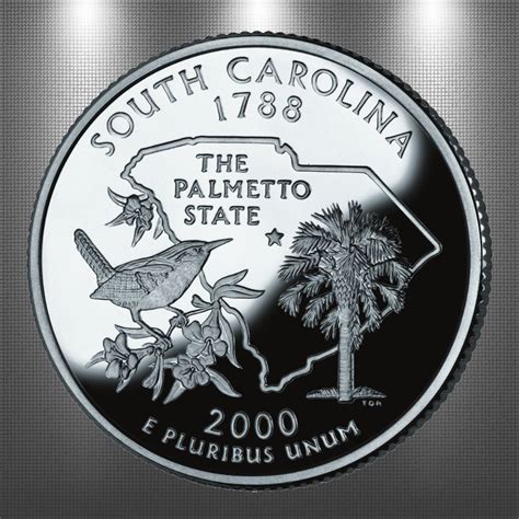 Collectible State Quarters Facts By Usa Facts For Kids South Carolina