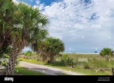 Siesta Key Beach On A Beautiful Summer Day With Palm Trees Ocean And