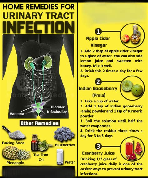 Home Remedies For Urinary Tract Infection Uti Home Remedies