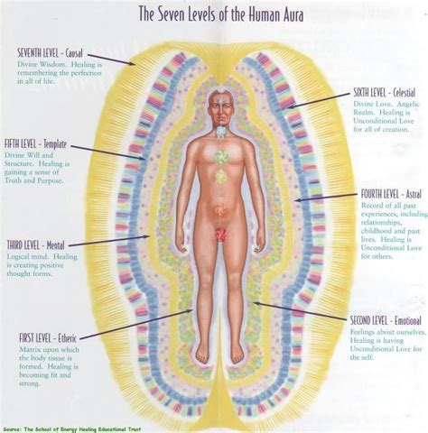 the human energy field the “aura” or “human energy field” is a field of energy which surrounds