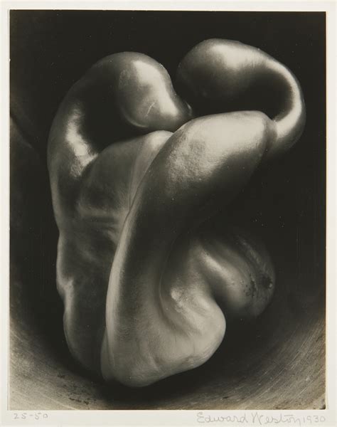 カバー ヤフオク Edward Weston Forms Of Passion Passion Of F ページに