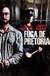 Fuga de Pretória (2020) — The Movie Database (TMDb)