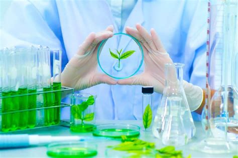 Actions You Can Take Immediately Towards A More Eco Friendly Laboratory