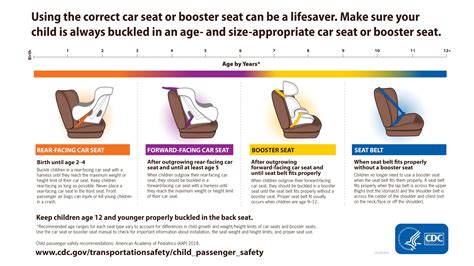 What Is The Height And Weight Requirements For Booster Seat Velcromag