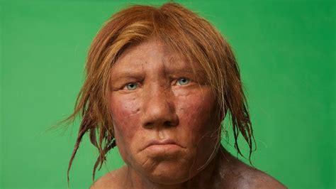 How Did The Last Neanderthals Live Bbc Future