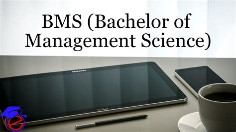 Bms Bachelor Of Management Science Courses Meaning Jobs Fees