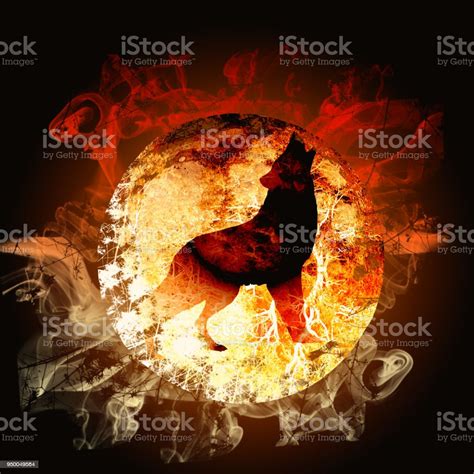 Fire Wolf Stock Illustration Download Image Now Istock