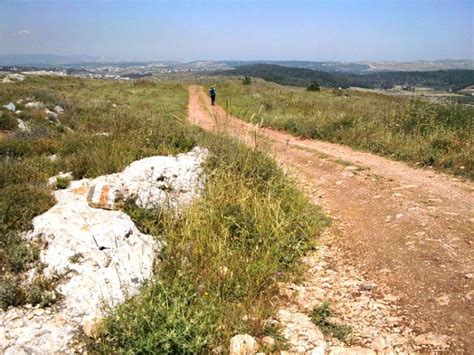 Jesus Trail Israel I Best World Walks Hikes Treks Climbs I