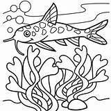 Coloring Seaweed Catfish Cliparts Clipart Cartoon Colouring Kelp Cat Getcolorings Printable Bestofcoloring Attribution Forget Link Don Getdrawings sketch template