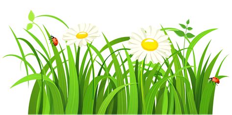Grass With Daisies And Lady Bugs Png Clipart Gallery Yopriceville