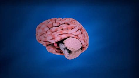 Nuovi Risultati Nel Trattamento Della Depressione Tramite Stimolazione Cerebrale Profonda Cuenews