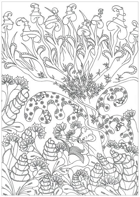 Continue to 5 of 14 below. Enchanted forest - Jungle & Forest Coloring Pages for ...
