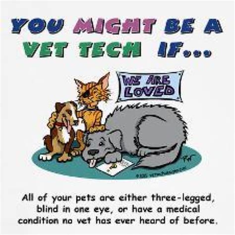 Pin By Shea Phillips On Entertaining Thoughts Vet Tech Humor