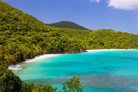 Estes São Os Top 6 Praias De St John Ilhas Virgens Americanas