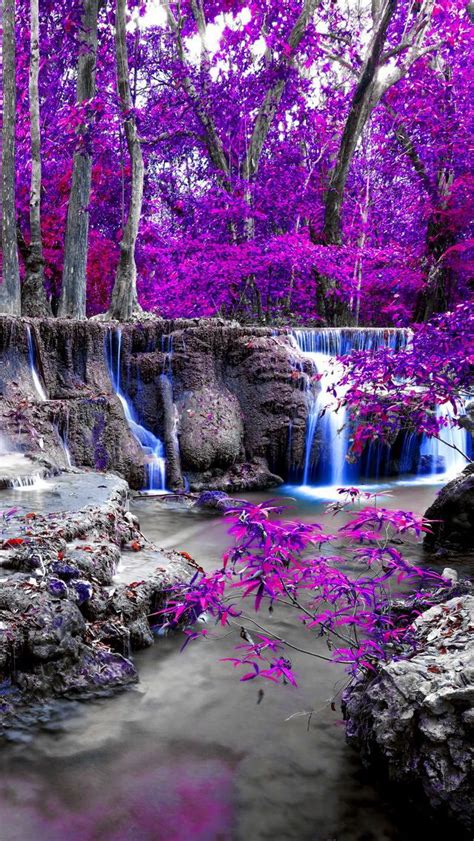 Purple Waterfall Beautiful Nature Nature Photography Beautiful