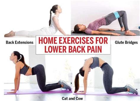 Back Exercises Lower Off 57