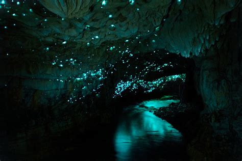 Glowworm Caves New Zealand Top Travel Destinations To Put On Your