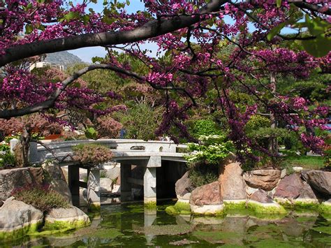 10 Japanese Gardens From The Heaven Beautyharmonylife