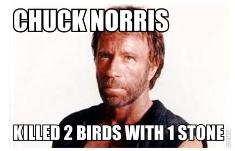 Chuck Norris Facts The 100 Greatest Internet Memes Of All Time Complex
