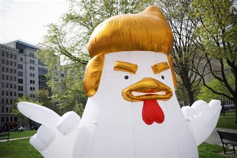 Inflatable Trump Chicken Takes Over Twitter Cbs Philadelphia