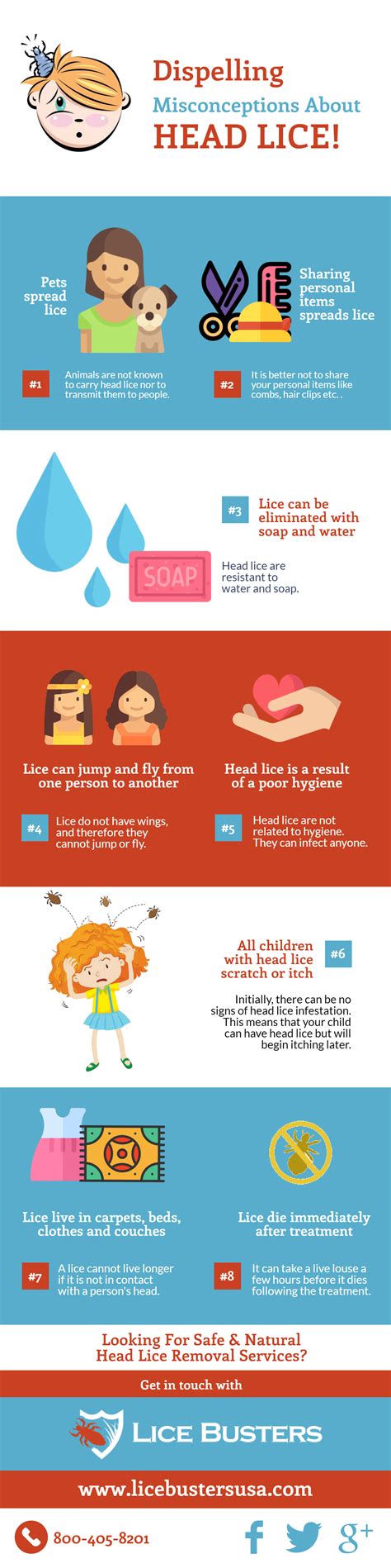 Check Out The Infographic On Dispelling Misconceptions About Head Lice