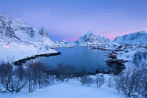 Sunrise At Fishing Village Reine In Winter Reinefjord Moskenesoya