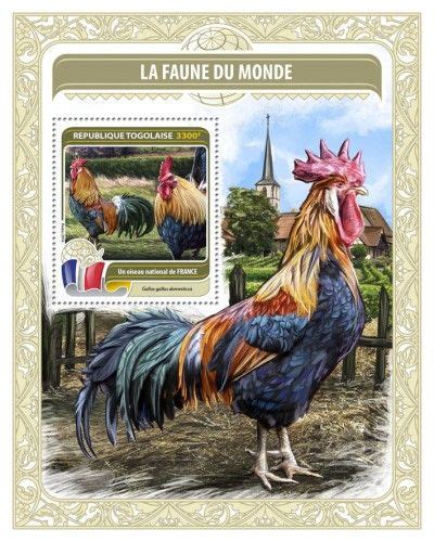 Tg16410b Fauna Of The World National Bird Of France Gallus Gallus