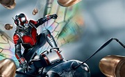 Ant Man 2015 Wallpapers | HD Wallpapers | ID #14806