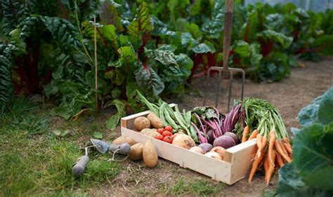 Alan Titchmarshs Tips On Creating The Perfect Kitchen Garden Garden