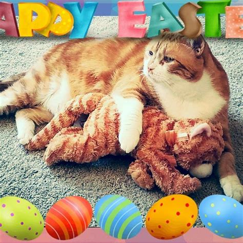 Happy Belated Easter From Tatertot Easter Eastercat Is Flickr