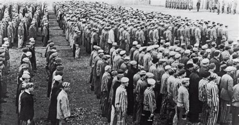 Das Novemberpogrom 1938 War Der Auftakt Zum Holocaust Profilat
