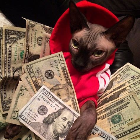 Cashcats On Instagram Finna Kill The Game This Year Cashcats