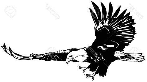 Eagle In Flight Drawing Free Download On Clipartmag
