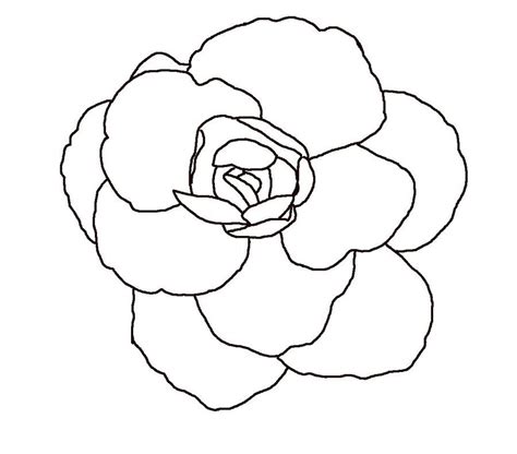 Simple Flower Outline Coloring Home