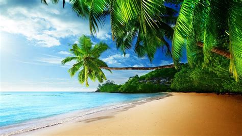 Hi Res Tropical Wallpapers Top Free Hi Res Tropical Backgrounds