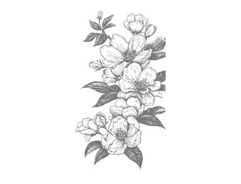 Free Black And White Flower Sketch Download Free Black And White